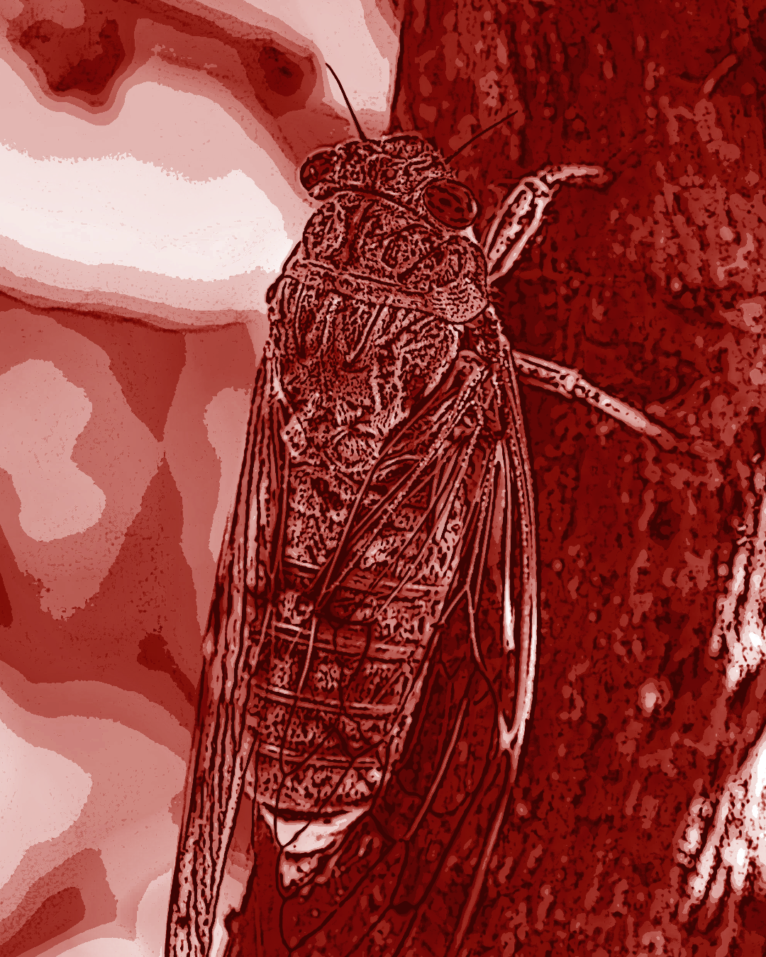 Artist rendition of Great Ayuthia the Ghost