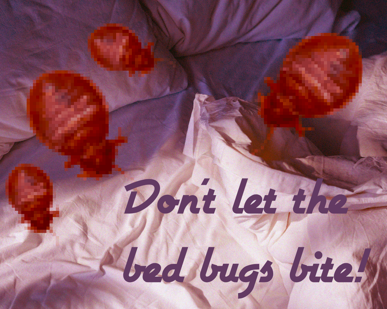 bedbugs