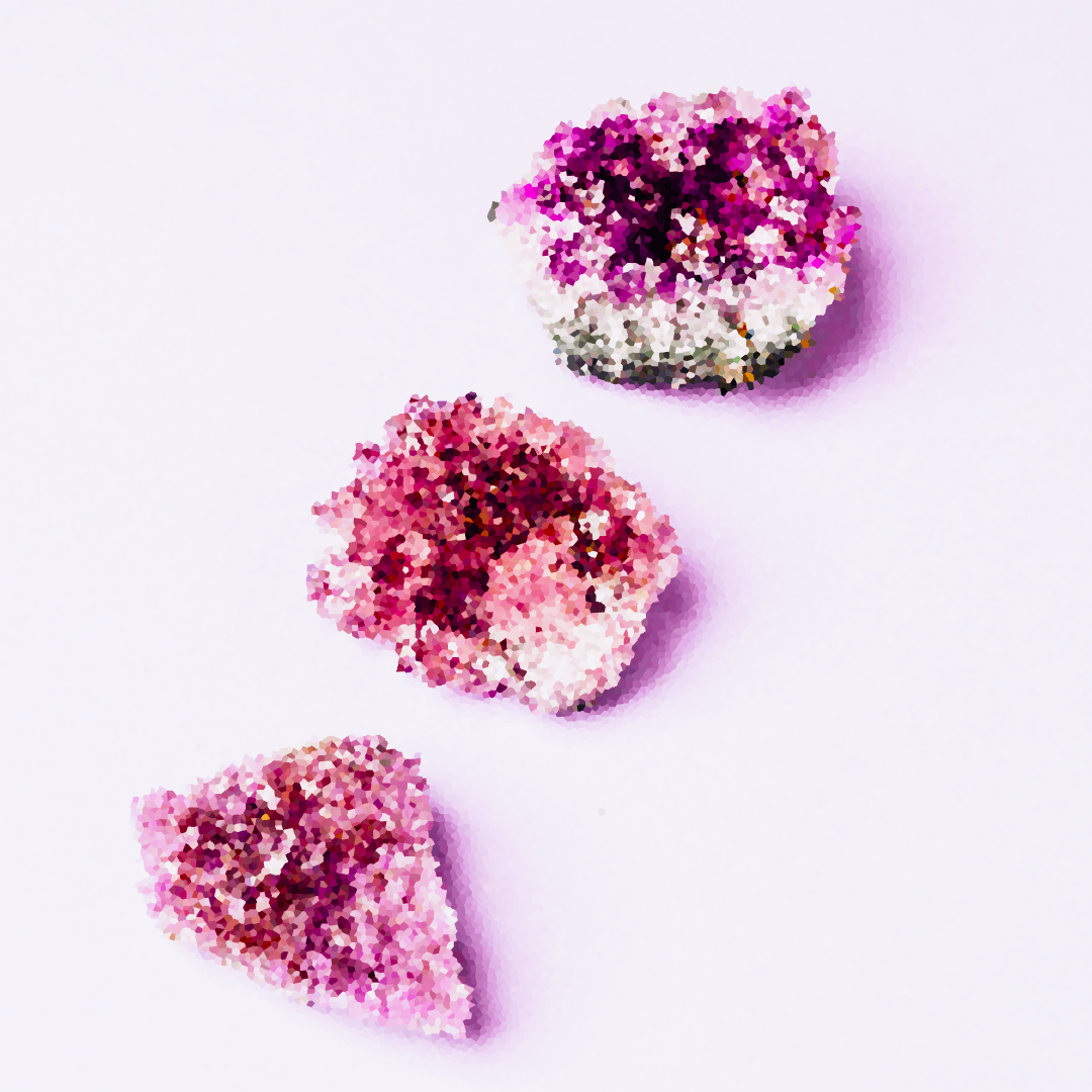 We're similar but distinct