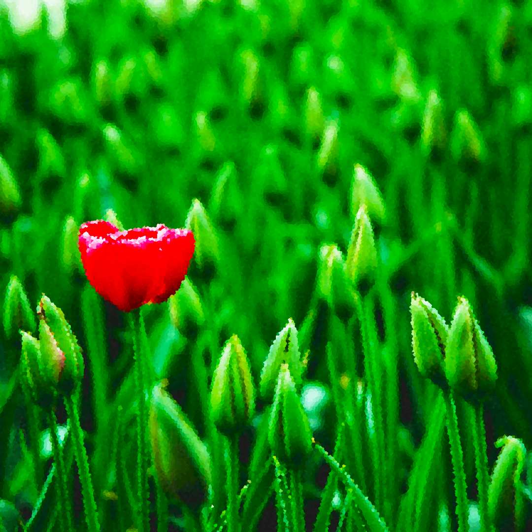 In the company of strangers